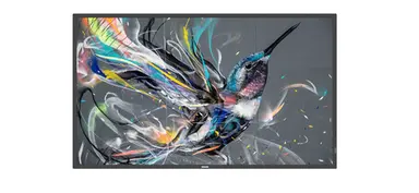 Philips LCD Display - Flat - 3840 × 2160 - 86 in - 8MS Response Time, image 4