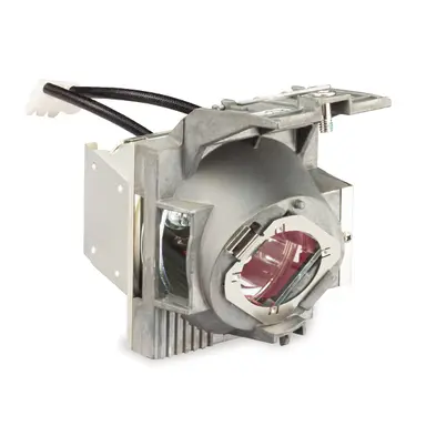 Viewsonic Projector Replacement Lamp for PX701-4K.