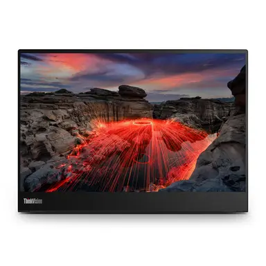 Lenovo M14TGEN2(D24140QX0)14INCH Monitor-Type C