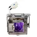 Viewsonic Projector Replacement Lamp for PA505W PX725HD, image 5