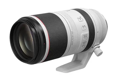 Canon USA Canon RF100-500MM F4.5-7.1 L Is Usm Lens