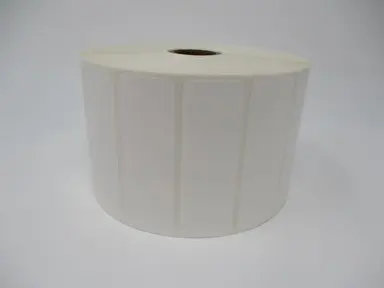Brother International Corporat 3INX1IN TT Syn (Polypropylene) Label (Use Wax or Wax/Resin Ribbon), 5 OD/1INCORE