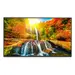 Sharp Electronics Multisync - 43 LED LCD Public Display Monitor, 3840 × 2160 (UHD), 18/7, image 4