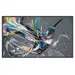 Philips Signage Solutions Q-Line Display - LCD Display - Flat - 3840 × 2160 - 75 in - 8, image 5