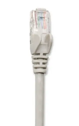 Intellinet 100 FT Gray Cat6 Snagless Patch Cable, image 4