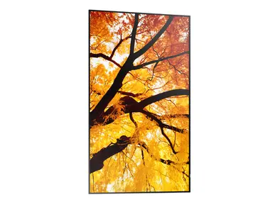 Sharp Electronics Multisync - 55 LCD Public Display Monitor, 3840 × 2160, 24/7, 550 CD/M2, image 5