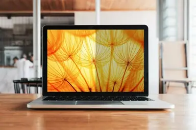 3M Display Materials and Syste 3M Bright Screen Privacy Filter for 15 in Laptop (4:3 Aspect Ratio), image 6