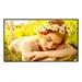 LG Electronics USA 75 3,840 X 2,160 (4K UHD), 500 Nits (Typ.), Ads Panel Technology, Portrait / Land, image 5