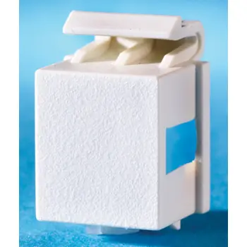 Legrand Dat Keystone Blank QTY10 Fogwhite