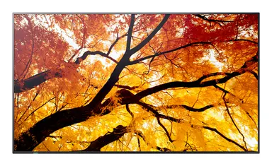 Sharp Electronics Multisync - 75 LCD Public Display Monitor, 3840 × 2160, 24/7, 550 CD/M2, image 2