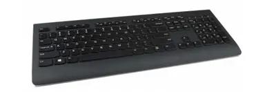 Lenovo Professional Wireless Keyboard-US English