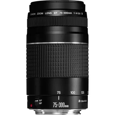 Canon USA EF 75-300MM F/4-5.6 Iii, image 4
