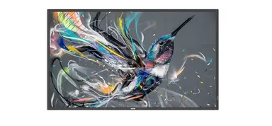 50BDL3511Q/00 - LCD Display - Flat - 3840 X 2160 - 50INCH - 8MS Response Time -