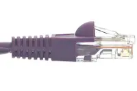 Intellinet 1.5 FT Purple Cat6 Snagless Patch Cable, image 3