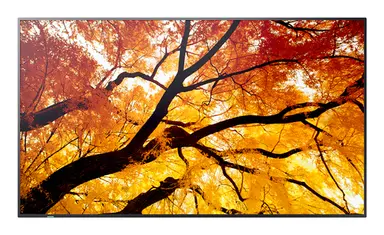 Sharp Electronics Multisync - 86 LCD Public Display Monitor, 3840 × 2160, 24/7, 550 CD/M2, image 2