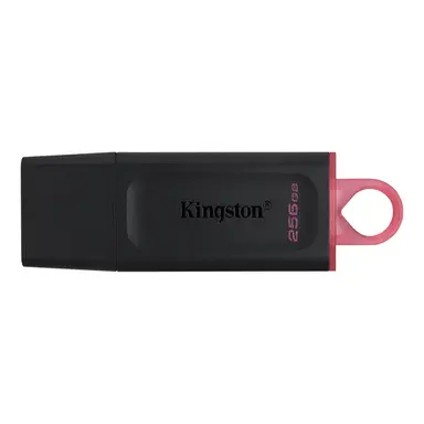 Kingston 256GB USB3.2 Gen 1 Datatraveler Exodia - Co-Logo Moq 100, image 2
