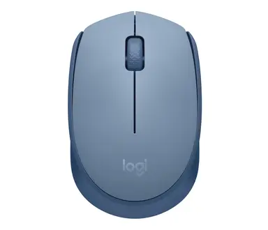 Logitech M170 Wireless Mouse (Blue GRAY).