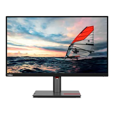 Lenovo P25I-30(A24245FP0) 24.5 in Monitor-HDMI
