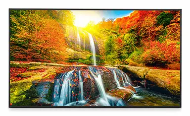 Sharp Electronics Multisync - 43 LED LCD Public Display Monitor, 3840 × 2160 (UHD), 18/7
