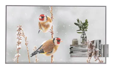 55OLED (transparent) 1920X1080 (fhd) Portait / Landscape HDMI INO(1) Hdcp 2.2/1