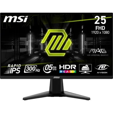 MSI Computer Mag 255XF