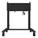 Benq America Benq Motorized Cart, image 5