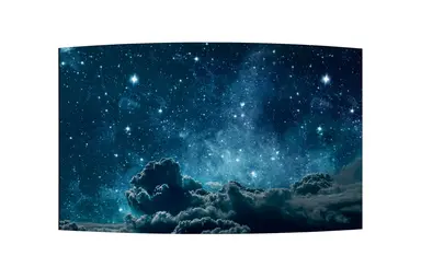 55INCH in OLED Large Format Monitor