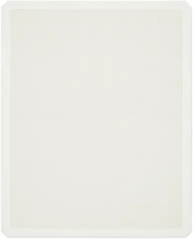 Epson Print Epson F2100 Large Grip Pad