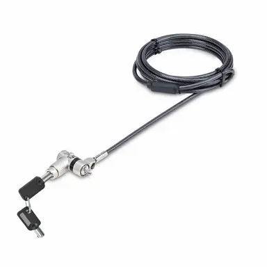 StarTech.com 25-Pack Universal Laptop Lock 6.6 ft (2M), Security Cable for Notebook Compatible