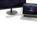 StarTech.com 10 FT Mini DisplayPort to DisplayPort 1.2 Adapter Cable M/M - DisplayPort 4K Wit, image 5