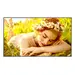 LG Electronics USA 86 3,840 X 2,160 (4K UHD), 500 Nits (Typ.), Ads Panel Technology, Portrait / Land, image 5