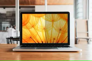 3M Display Materials and Syste 3M Bright Screen Privacy Filter for 13.3 Full Screen Laptop, image 7