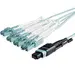 STARTECH.COM 10M (33FT) MTP(F)/PC to 4X LC/PC Duplex Breakout OM3 Multimode Fiber Optic Cable, image 5