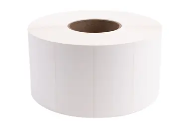 Brother International Corporat 4INX2IN TT Syn (Polyester) Glossy Label (Use Wax/Resin or Resin Ribbon), 8INOD/3