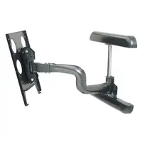 Chief Manufacturing Single Arm Dual ST. MT., image 3