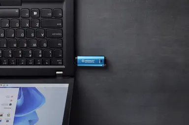 Kingston 256GB USB-C Ironkey Vault Privacy 50C AES-256 Encrypted, Fips 197, image 5