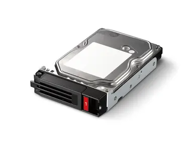 Buffalo Technology 1TB Spare Replacement Hard Drive for Terastation 3010 & 5010 Models