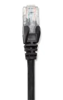 Intellinet 100 FT Black Cat6 Snagless Patch Cable