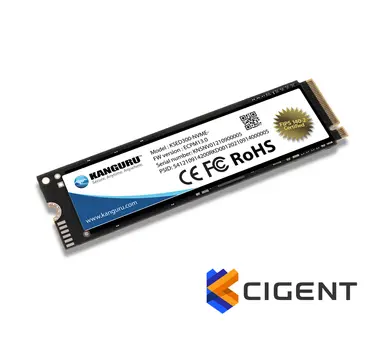 Kanguru Defender SED300 Fips 140-2 Certified M.2 Nvme-Internal Self-Encrypting, image 6