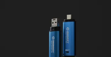 Kingston 256GB Ironkey Vault Privacy 50 AES-256 Encrypted, Fips 197, image 4