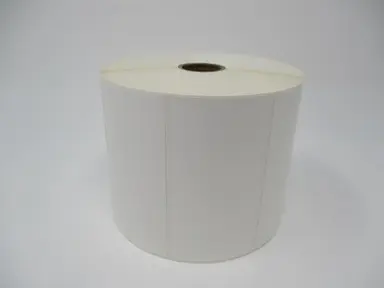 Brother International Corporat 4INX2IN TT Syn (Polypropylene) Label (Use Wax or Wax/Resin Ribbon), 5 OD/1INCORE