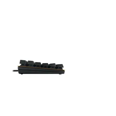 Cherry Americas Cherry KC 200 MX Mechanical Keyboard, image 7