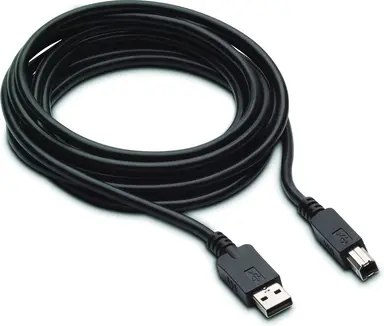 HP 300CM DP+USB B-A Cables