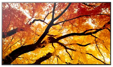 Sharp Electronics Multisync - 55 LCD Public Display Monitor, 3840 × 2160, 24/7, 550 CD/M2, image 3