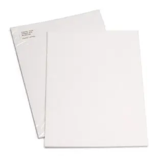 Ricoh Pfu Ricoh 10PK Cleaning SHTS