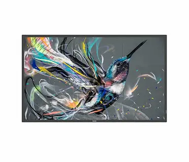 Philips 65 in EPEAT Sliver CLIMATE+CERTIFIED Prosumer 18/7 Display, UHD (3840 × 2160), 300C