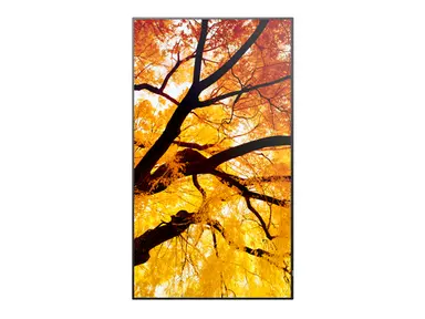Sharp Electronics Multisync - 55 LCD Public Display Monitor, 3840 × 2160, 24/7, 550 CD/M2, image 4