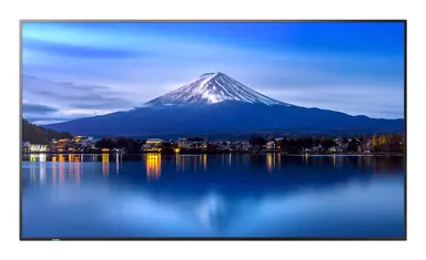 Sharp Electronics 43 in Professional Display, Multisync P436 - LED LCD Public Display , 3840 × 2160