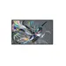 Philips LCD Display - Flat - 3840 × 2160 - 86 in - 8MS Response Time, image 5