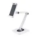 StarTech.com Universal Stand for Tablets 5-8.8IN WIDE/0.4IN Thick; Capacity 2.2LB; Tablet Sta, image 5